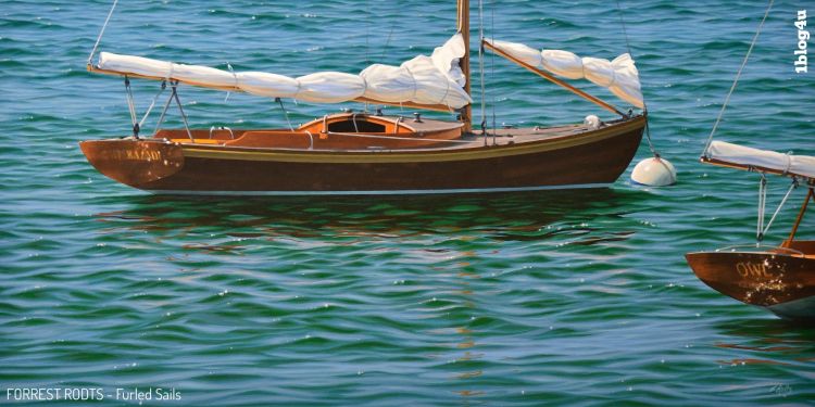 FORREST RODTS artist interview for 1blog4u