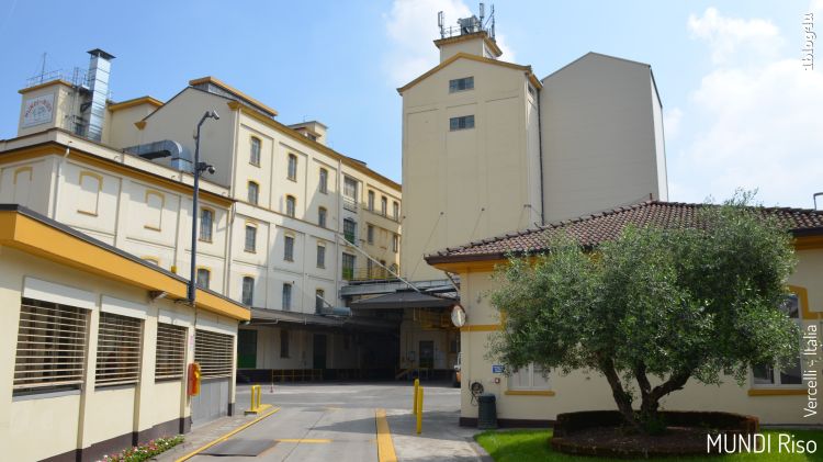 MUNDI Riso, Vercelli, Piemonte