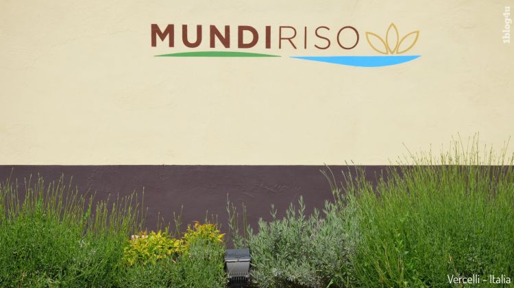 MUNDI Riso, Vercelli, Piemonte