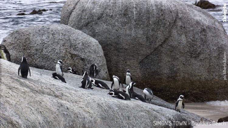 CAPE TOWN - South Africa