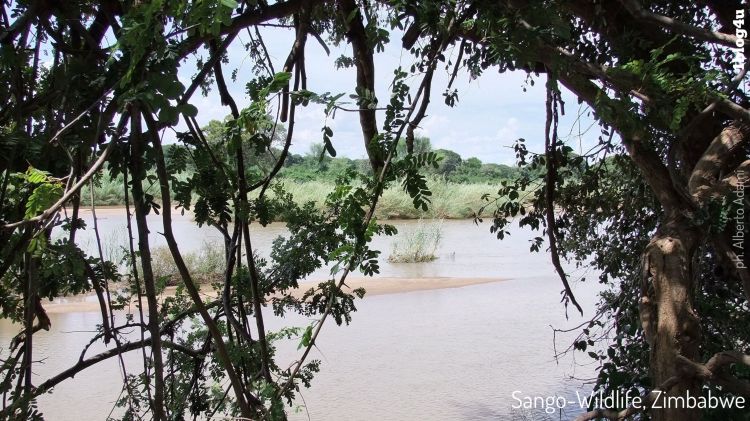 SANGO Wildlife Lodge - Zimbabwe