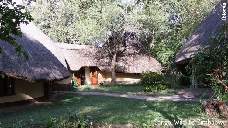 SANGO Wildlife Lodge - Zimbabwe